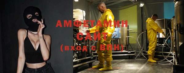 индика Арсеньев