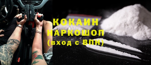 индика Арсеньев