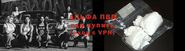 индика Арсеньев