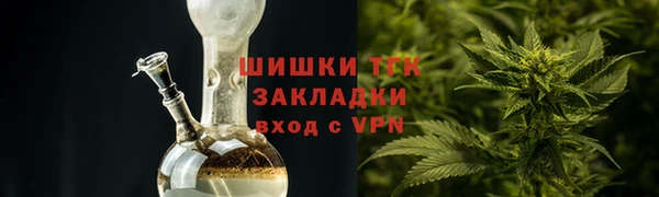 индика Арсеньев