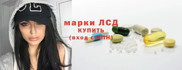 индика Арсеньев