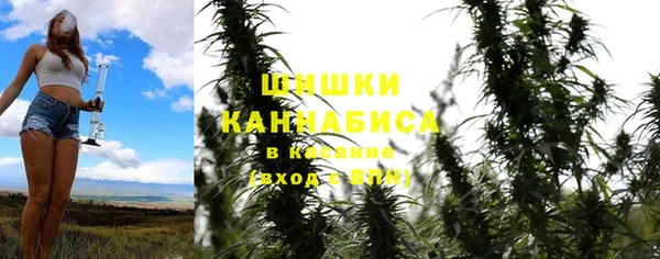индика Арсеньев