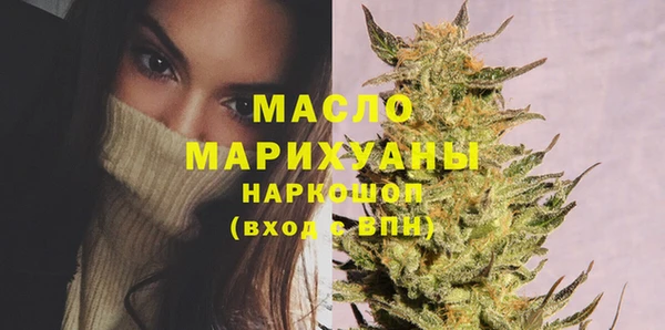 индика Арсеньев