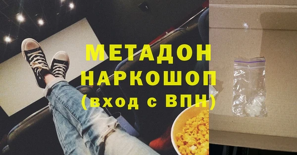 индика Арсеньев