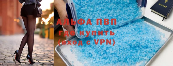 индика Арсеньев