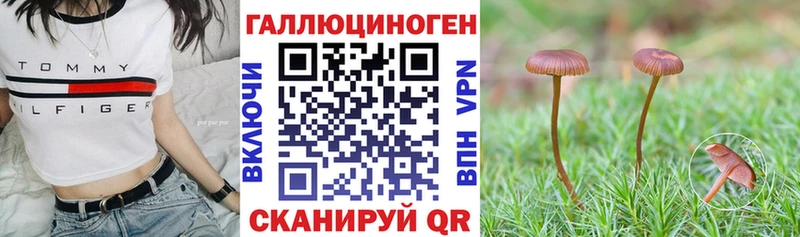 KRAKEN tor  Зверево  Галлюциногенные грибы Psilocybe 